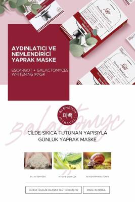 Escargot + Fermente Pirinç Aydınlatıcı Yaprak Maske Intracell Galactomyces Whitening Mask - 2