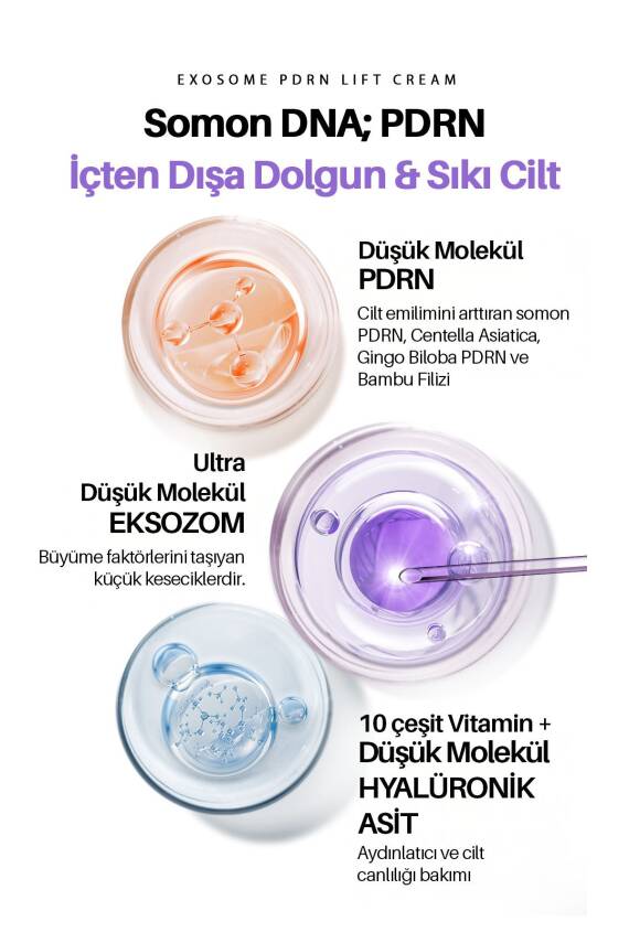 Exosome PDRN Yoğun Elastikiyet ve Cilt Dolgunlaştırıcı Maxclinic Krem + Gua Sha - 6