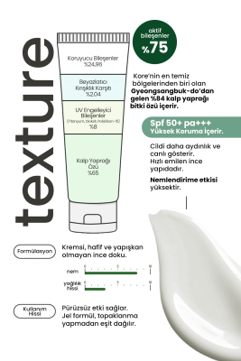 Hassas Ciltler İçin Houttuynia Cordata İçeren Hibrit Vegan Güneş Kremi Derma Factory Sun Cream 50 gr - 3